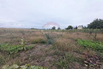 Casă individuală cu 4 camere cu Teren 6110 Mp în Girov - 45