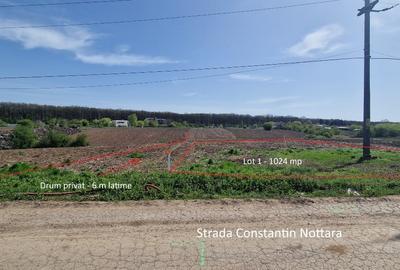 Snagov, Vladiceasca, Intravilan, zona de vile noi, canalizare, electricitate - 8