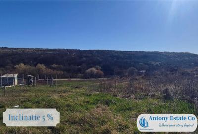 Teren intravilan de - Zona Saldabagiu De Munte, Bihor - 1