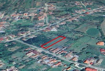 Teren intravilan 1,508mp Masca jud. Arad - 3