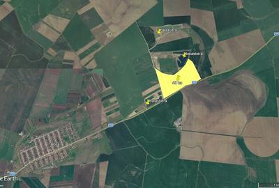 Teren de 480000 mp, în Horia