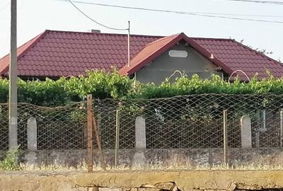 Casă cu 4 camere cu Teren 3046 Mp în Zebil - 2