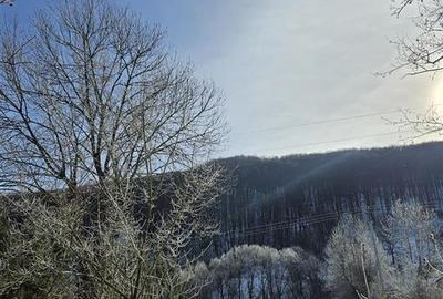 Teren Construcții intravilan de 3200 mp, în Est - 8