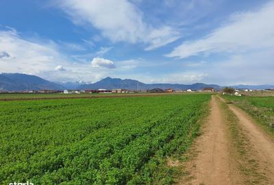 Spațiu comercial, în Central - 2