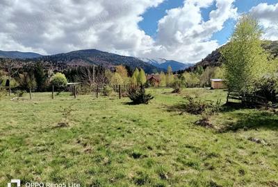 Teren de 2000 mp, în Berivoi - 5