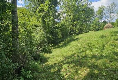 Teren agricol intravilan de 2500 mp, în Valea Doftanei - 5