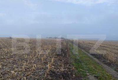 Teren 7200 mp extravilan, Miroslava-Vorovesti, langa zona d - 1