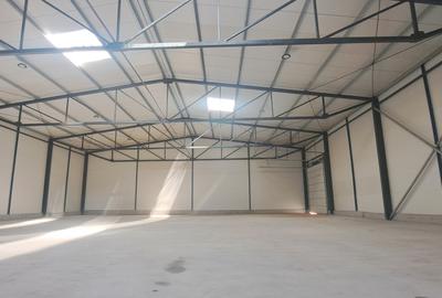 Drumul intre Tarlale, sector 3, hala 1180 mp - 6