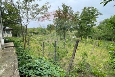 Casă individuală cu 3 camere cu Garaj în Oancea - 13