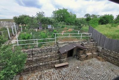 Casă cu 4 camere cu Teren 500 Mp în Bogonos - 5
