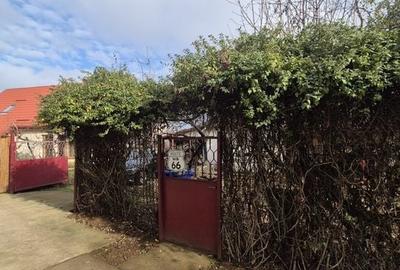 Casa Saftica/Balotesti - 29