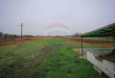 Casă cu Teren 3474 Mp în Sânnicolau Român - 15