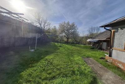 Casă cu Teren 1273 Mp în Dobra - 5