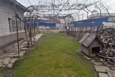 Casă cu Teren 1120 Mp în Potlogi - 4