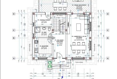 Casă cu 4 camere în Paleu