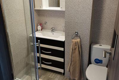 Apartament cu 2 camere semidecomandat, mobilat în Victoriei - 6