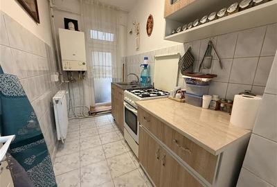 Miron Costin - zona Zimbru - apartament + teren proprietate - 11