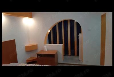 Garsoniera de inchiriat in Paltinis - 1