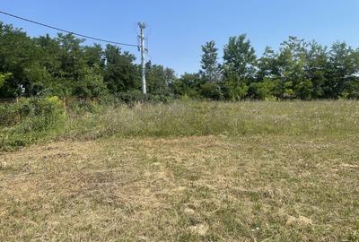 Spațiu comercial, în Budacu de Jos - 5