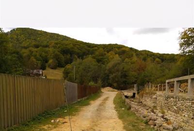 Teren agricol extravilan de 15355 mp, în Est - 3