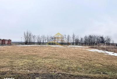 Teren de 900 mp, în Săucești - 6