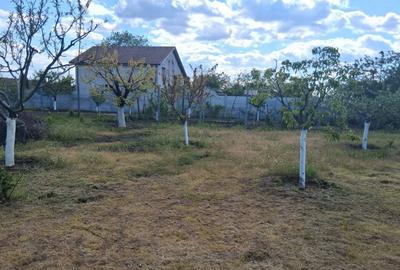 Teren de 845 mp, în 1 Decembrie - 4