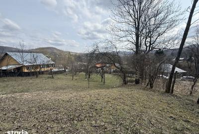 Teren de 6040 mp, în Provița de Jos - 4