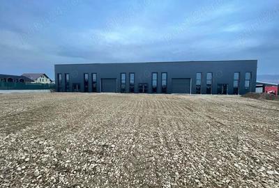 Spatiu Industrial, 912mp, Hala depozitare E85, Darmanesti. - 2