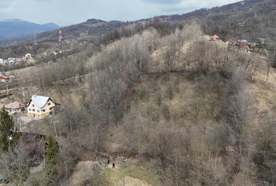 Teren Construcții intravilan de 3485 mp, în Cerașu - 3