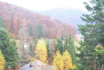 Busteni-Teren intravilan situat in Valea Alba in apropiere de partie - 3