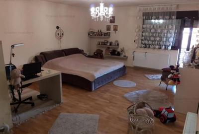 Vila P 1 M Cazasu 510mp construiti si teren 3774 mp - 14