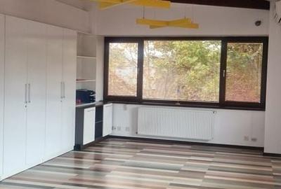 Unirii-Stii acele prorietati care apar rar si dispar repede? - 8