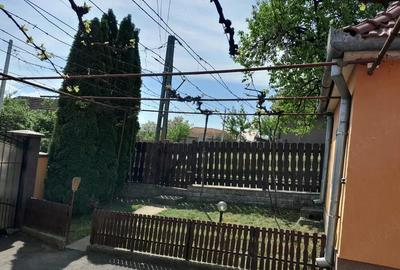 Casă cu Teren 3300 Mp în Bălaia - 6
