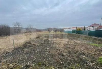 Casă cu Teren 2900 Mp în Central - 3