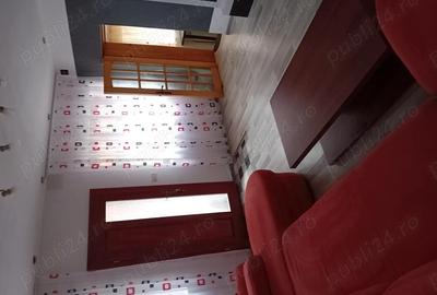 Inchiriez casa,doua camere in Lendt - 2