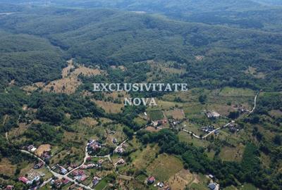 Oaza de natura si oportunitate in Baiculesti  Valea lui Enache, Arges - 4