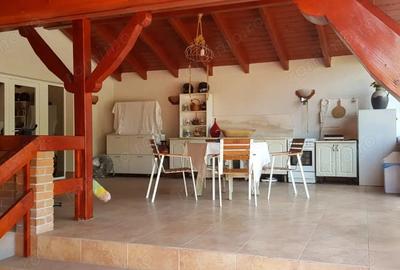 Casa la 6 km de Deva - 1