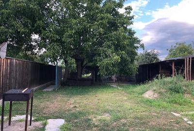 Casă cu 3 camere cu Teren 1200 Mp în Șimian - 2