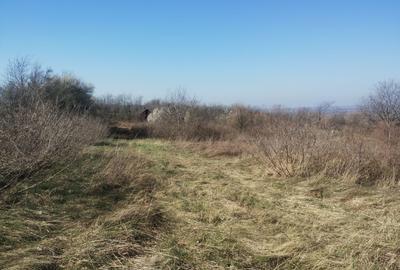 Spațiu comercial, în Dumbrăvița