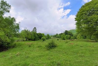 Spațiu comercial, în Mlăceni - 5