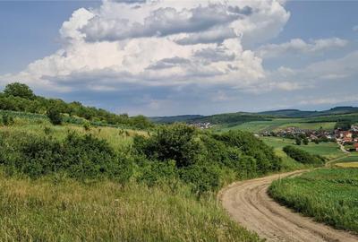 Teren agricol extravilan de 5000 mp, în Șura Mare - 10