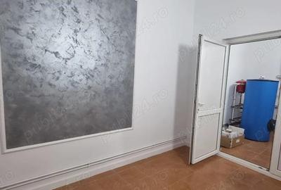 Inchiriez vila in Pitesti, pretabila clinica medicala, gradinita,after - 19