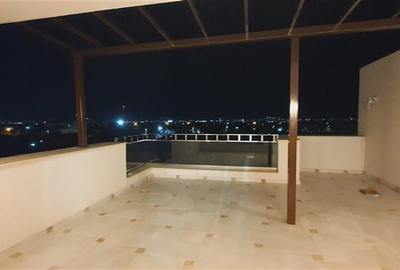 Penthouse cu 2 camere decomandat în Ghencea - 11