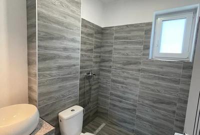 Spatiu Comercial , Showroom Timisoara Sud str. Bujorilor - 5