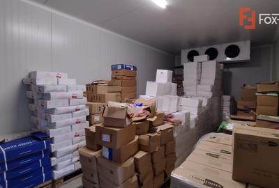 Spațiu industrial, de 35 mp, în Săcălaz - 9