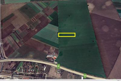 Teren 27.600 mp pretabil industrial – Autostrada Soarelui (A2), Fundulea Teren 27.600 mp pretabil industrial – Autostrada Soarelui (A2), Fundulea - 3