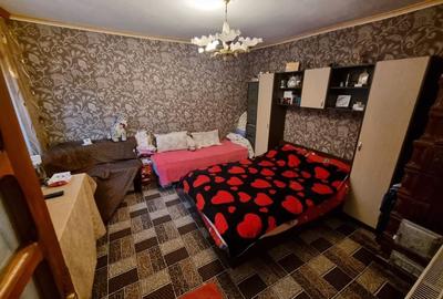 Viile noi-casa la sol cu garaj - 14