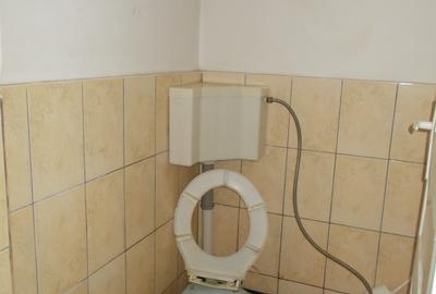 Inchiriez hala situata in Lazaret,200m,pretabila spalatorie,service - 10