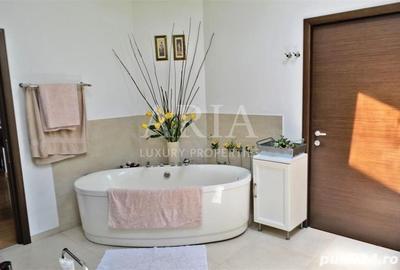 VILLA - PIPERA - PISCINA -CURTE - LANGA PADURE VILLA - PIPERA - PISCINA -CURTE - LANGA PADURE - 18