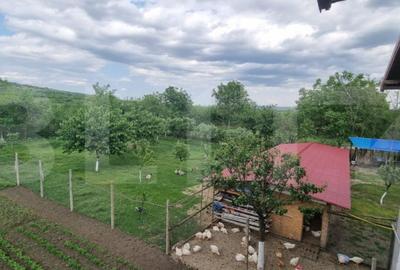 Casă cu 4 camere cu Teren 1800 Mp în Măgurele - 13